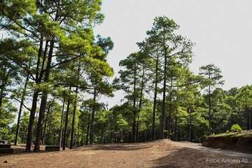 De ruta por el macizo de Tamadaba/Antonio Ali.